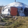 Ерөө сумын айлд баавгай халджээ