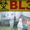 Шинэ төрлийн корона вирус хүнээс хүнд халдварладаг болохыг тогтоожээ