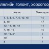 "Нийслэлд бүртгэгдсэн халдваруудын 52 нь ачаа тээврийн жолоочоос, 11 нь төмөр зам дагасан голомтоос эхтэй"