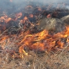 Ногоон бүсэд зорчихдоо галын аюулгүй байдлаа хангахыг анхаарууллаа