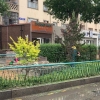 Нийслэлийн гудамж, талбайн ногоон байгууламжийн шарилжийг цэвэрлэж байна