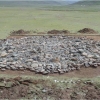 ОЛОН ГҮҮРИЙН ГОЛЫН БУЛШ