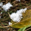 Өнөө маргаашдаа нутгийн зүүн хэсгээр салхитай хүйтэн байна