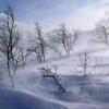 Өнөөдөр баруун аймгуудын нутгийн баруун хэсгээр салхи ширүүсэж, шороон шуурга шуурахыг онцгойлон анхааруулж байна