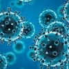 Улсын хэмжээнд 46 халдвар шинээр бүртгэгдлээ