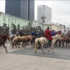 Уяачид Сүхбаатарын талбайд морьтой жагсана   
