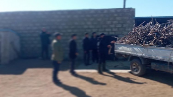 Бугын эврийг их хэмжээгээр хадгалж байсан этгээдүүдийг илрүүлэн шалгаж байна