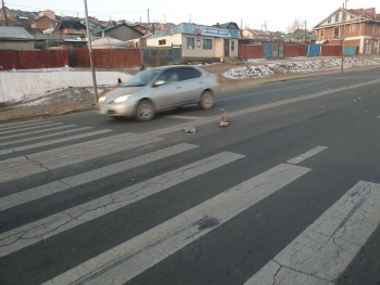 Явган хүний гарцаар гарч явсан 13 настай хүүхдийг мөргөж, амь насыг нь хохироожээ