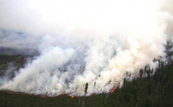 Ой, хээрийн түймрээс урьдчилан сэргийлэх ажлыг эрчимжүүлнэ