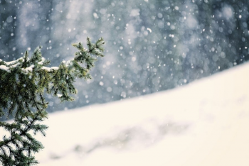 Нийт нутгийн 50 орчим хувьд цастай байна