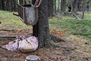 Самар түүж байсан иргэн модноос унаж, нас баржээ